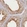 Anti-KATNB1 Antibody