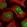 Anti-KANSL3 Antibody