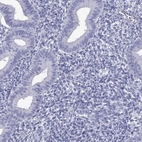 Immunohistochemical staining of human endometrium shows low expression as expected.