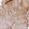 Anti-TANGO6 Antibody