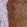 Anti-DHX38 Antibody