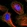 Anti-TIGD7 Antibody