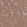 Anti-SPIRE2 Antibody