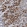Anti-THAP10 Antibody