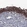 Anti-ATP5SL Antibody