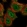 Anti-CNOT10 Antibody