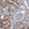 Anti-GDPD3 Antibody