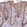 Anti-TIGD7 Antibody