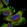 Anti-TIGD7 Antibody
