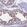 Anti-POLR3E Antibody