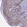Anti-POLR3E Antibody