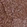 Anti-RBFA Antibody