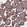 Anti-FAM96B Antibody