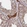 Anti-ATXN2L Antibody