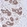 Anti-KLHDC4 Antibody