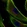 Anti-COL5A3 Antibody