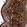 Anti-TTC31 Antibody