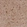 Anti-AKTIP Antibody