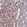 Anti-DIS3L Antibody