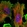 Anti-DIS3L Antibody