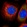 Anti-EXOSC9 Antibody