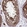 Anti-LSM7 Antibody