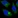 Anti-PPP4R4 Antibody