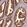Anti-HN1L Antibody