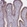 Anti-MRC2 Antibody