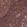 Anti-MYO9B Antibody