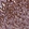 Anti-MRPS34 Antibody