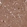 Anti-PPP2R2B Antibody