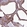 Anti-RSBN1 Antibody