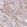 Anti-GNAI1 Antibody