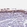 Anti-CEP170 Antibody