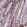 Anti-TCP11L2 Antibody