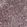 Anti-THAP11 Antibody