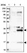 Anti-DTWD1 Antibody