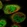 Anti-PYGO1 Antibody