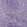 Anti-ASH2L Antibody