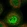 Anti-ERAP1 Antibody