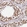 Anti-SBNO1 Antibody
