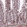 Anti-HGH1 Antibody