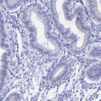 Immunohistochemical staining of human endometrium shows low expression as expected.