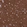 Anti-CEND1 Antibody