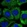 Anti-RNF207 Antibody