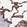 Anti-SFTPA1 Antibody