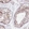 Anti-RARS2 Antibody