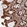 Anti-PODNL1 Antibody