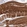 Anti-ZNF837 Antibody